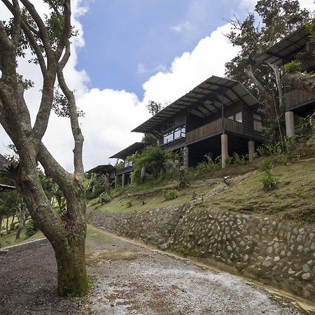 Hotel Alto Palomo Bajos del Toro المظهر الخارجي الصورة