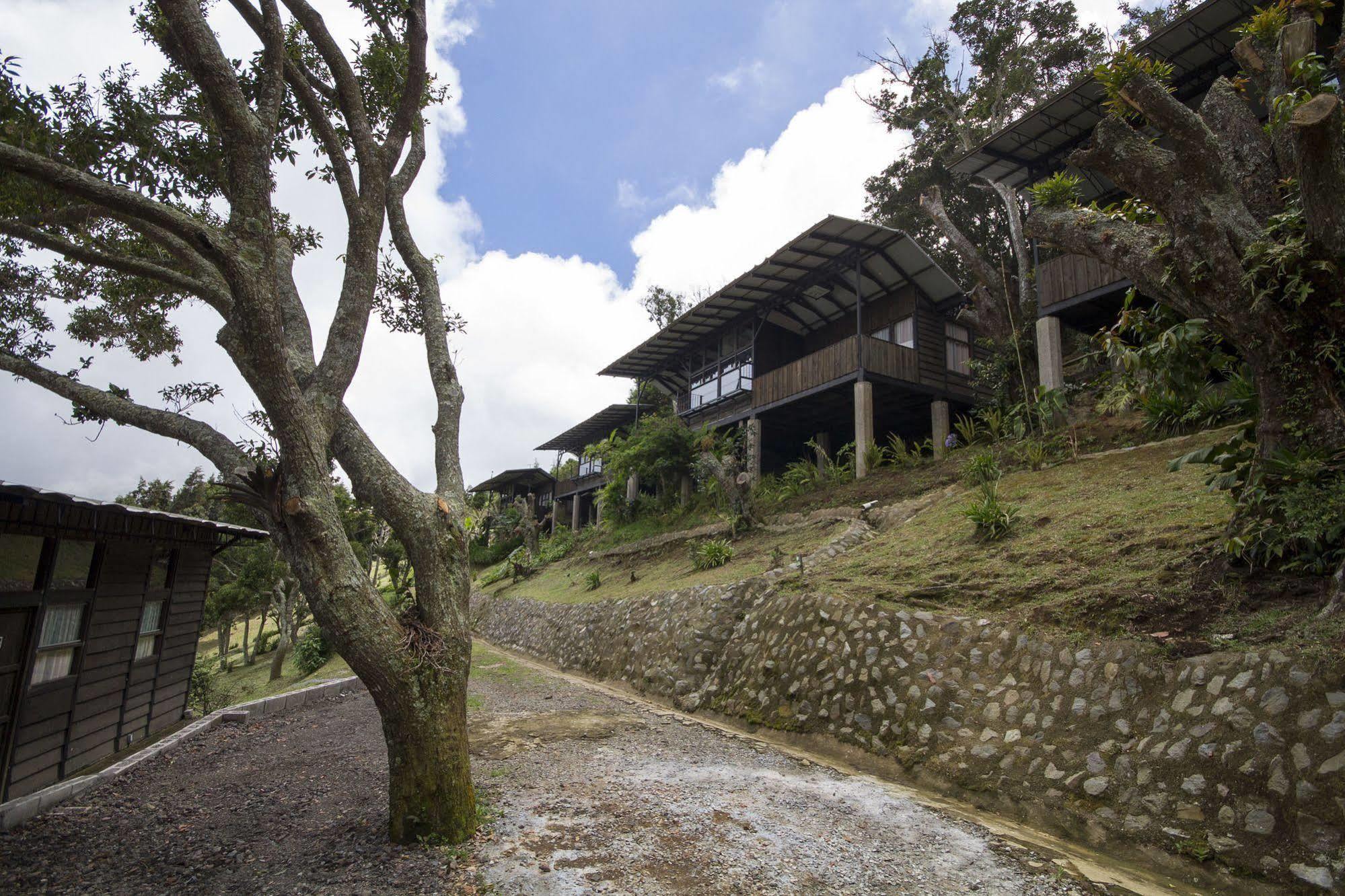 Hotel Alto Palomo Bajos del Toro المظهر الخارجي الصورة